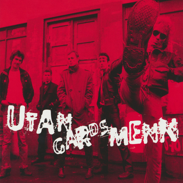 Fuglinn er floginn cover art