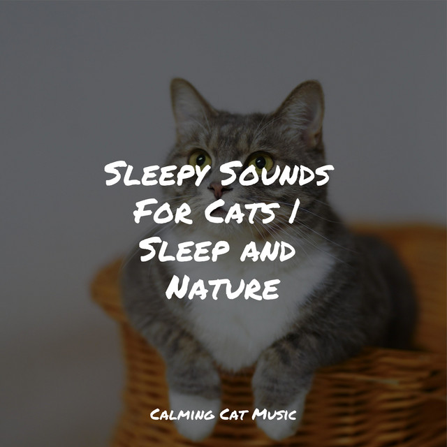 Sleepy Sounds For Cats | Sleep and Nature - Album by Music for Cats TA ...