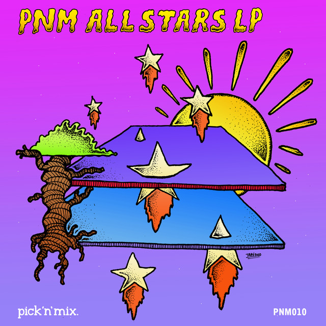 PNM All Stars LP cover art