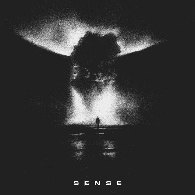 Sense cover