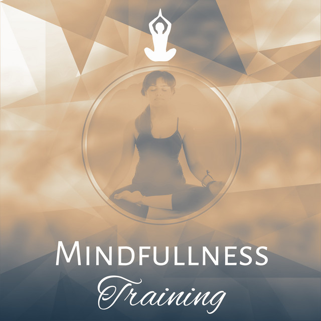 Mindfullness Training cover art