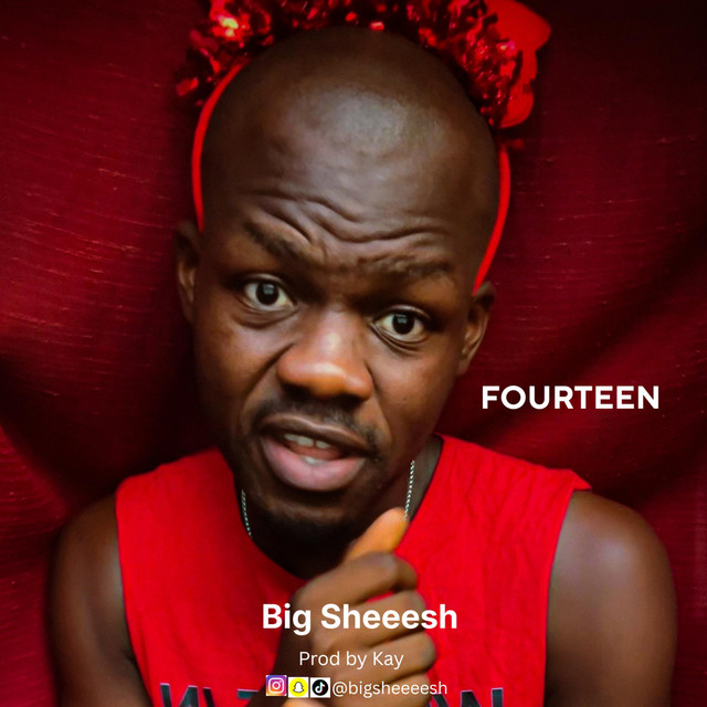FOURTEEN cover art