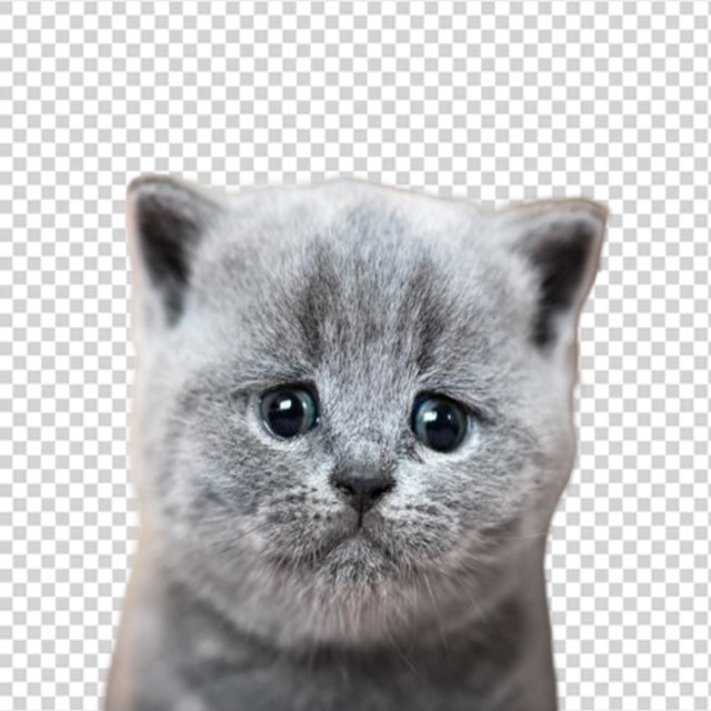 u sukk