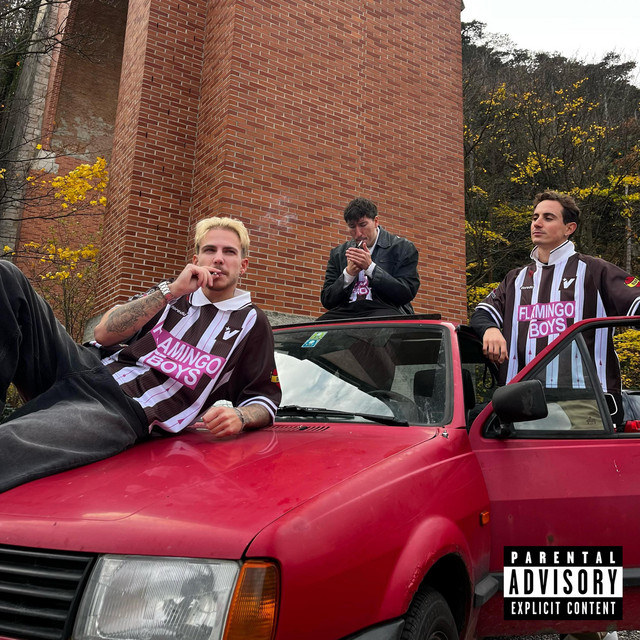 Flamingoboys cover art