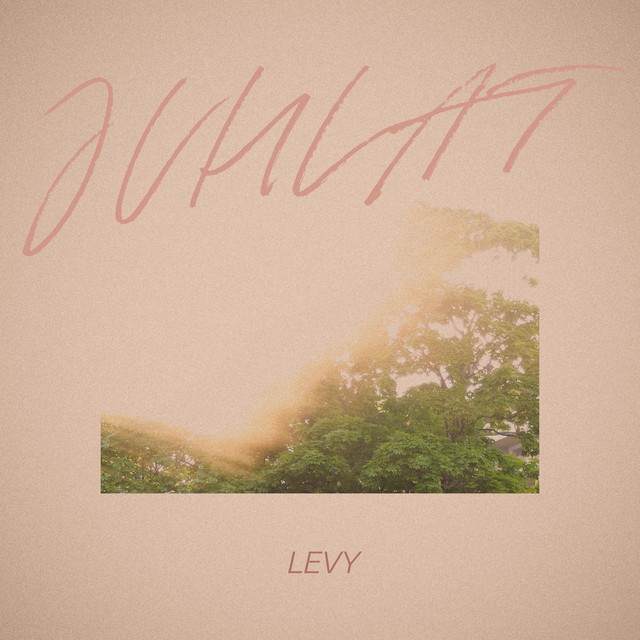 Levy cover