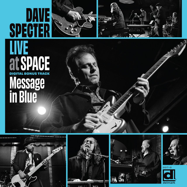 Message In Blue (Live) — Dave Specter