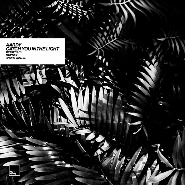 Catch You In The Light - André Winter Remix