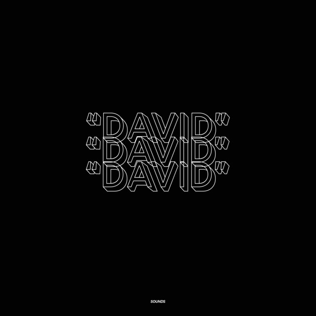 DAVID cover art
