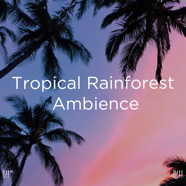 !!!" Tropical Rainforest Ambience "!!! cover art