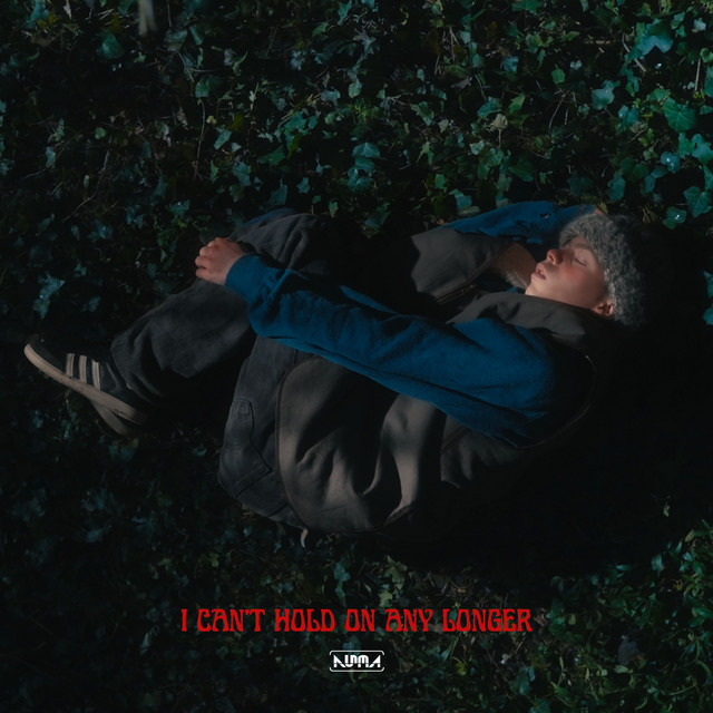 I Can't Hold On Any Longer cover