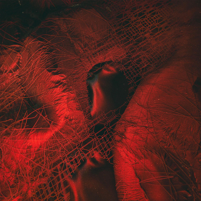 Sanguine