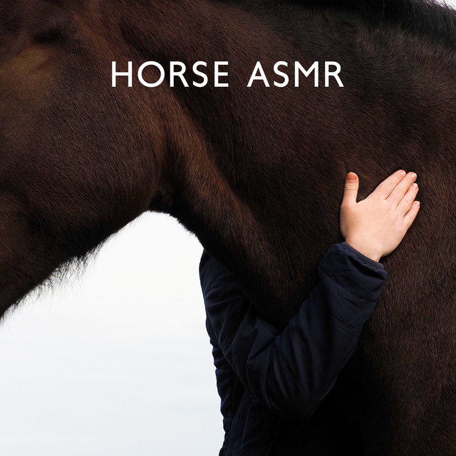 Horse ASMR for Relaxation: Children's Therapy cover art