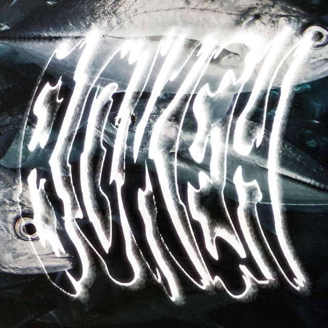 Bokeh cover art