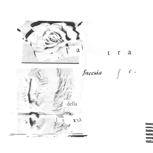 L'altra faccia della luna cover art
