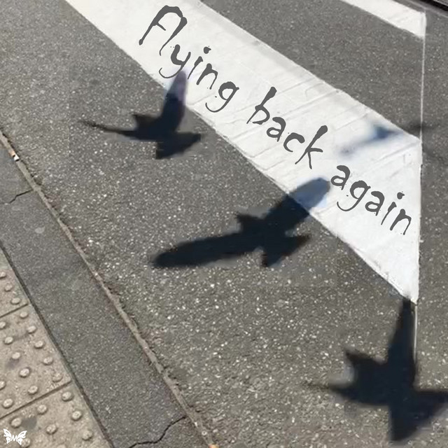 Flying Back Again cover art