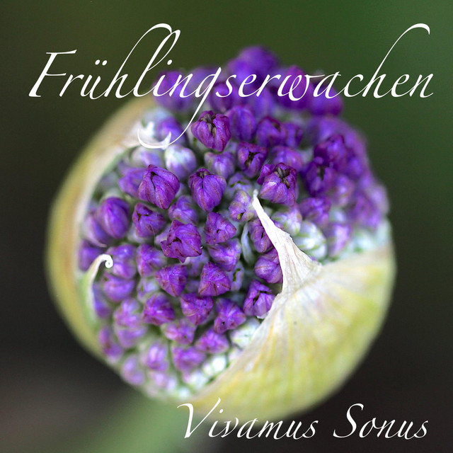 Frühlingserwachen cover