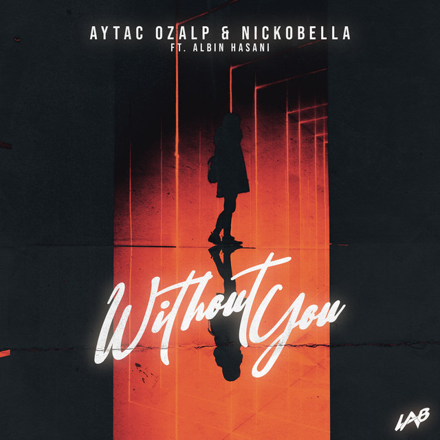 Without You (feat. Albin Hasani)