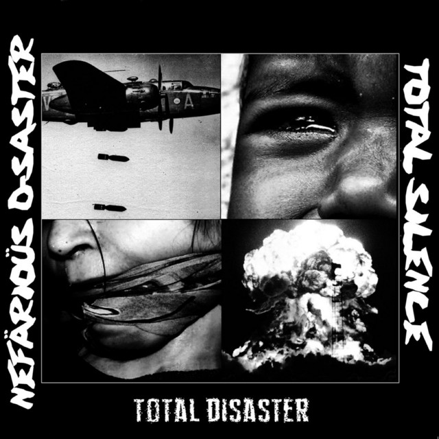 Total Disaster cover