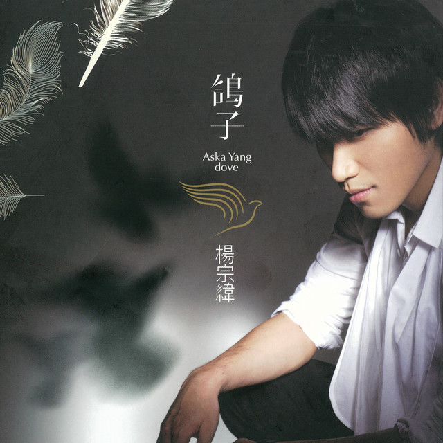 鴿子 cover art