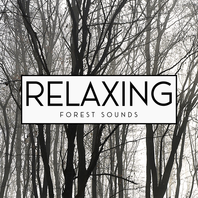Relaxing Forest Sounds cover art