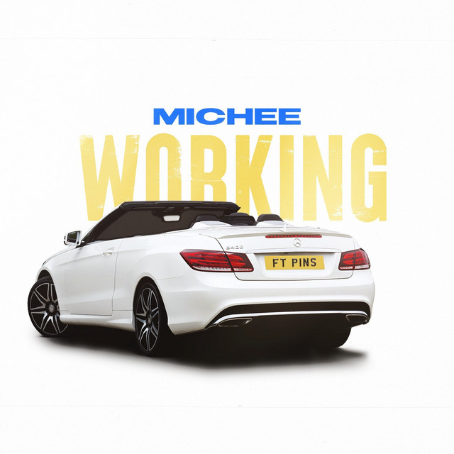 Working cover art