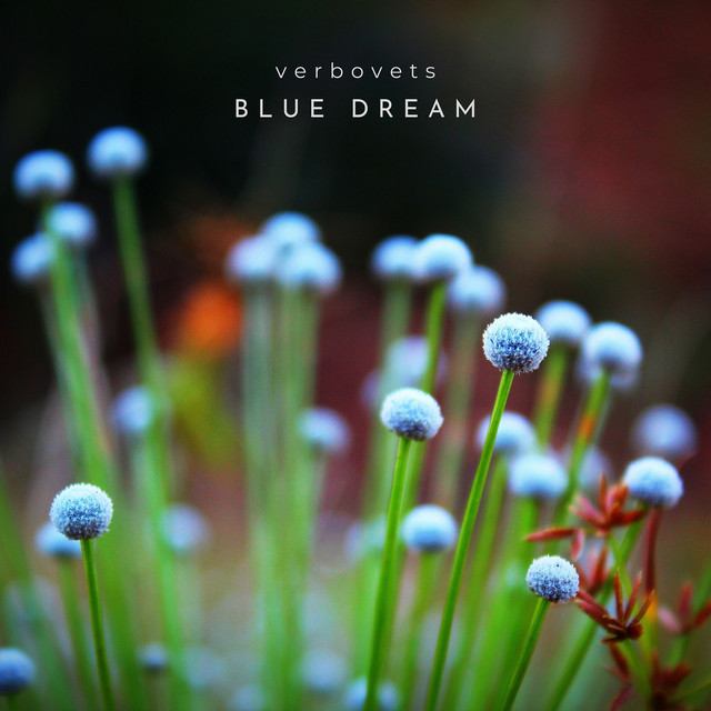 Обкладинка: Blue Dream — Verbovets