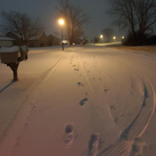 sumwinter cover art