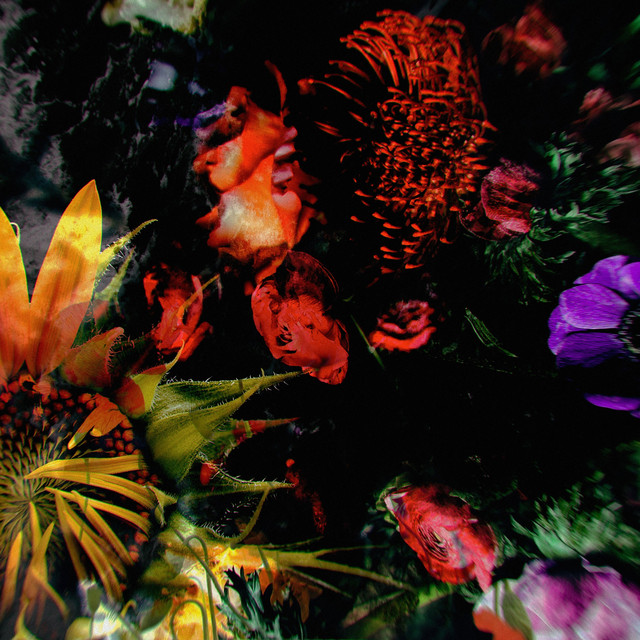 Pleroma cover art