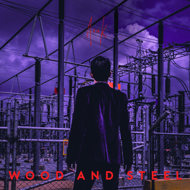 เหล็กกับไม้ (Wood and Steel) cover art