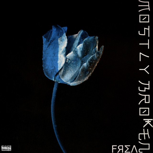 Mostly Broken cover art