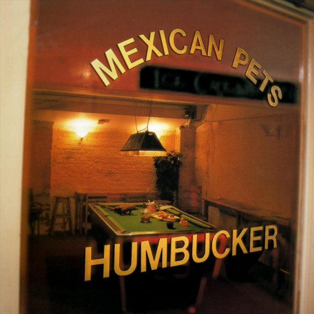 Humbucker cover