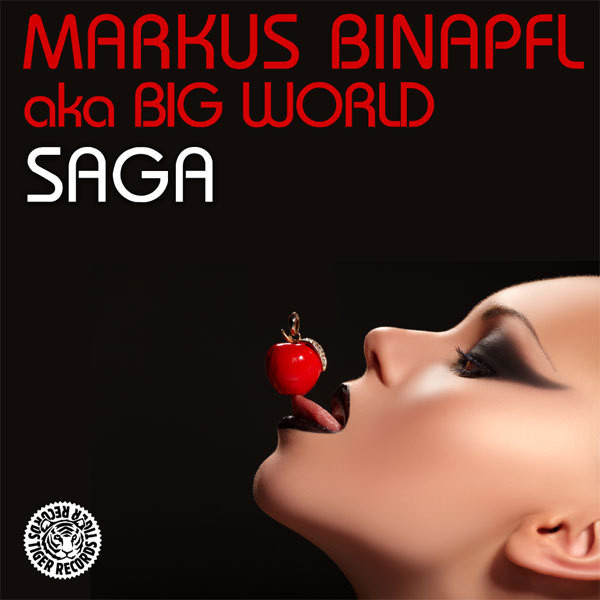 Saga - Original Mix cover art
