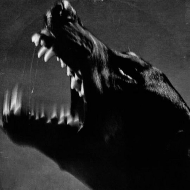 Обкладинка: FEAR — DJ RXSLVN