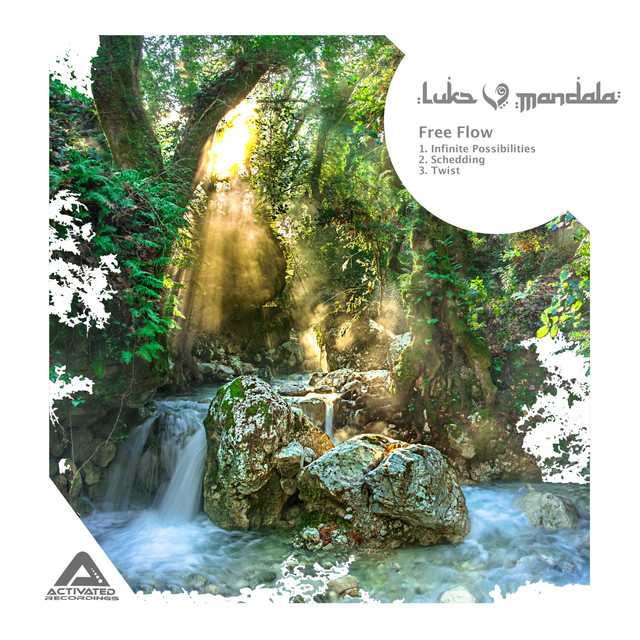 Free Flow cover art