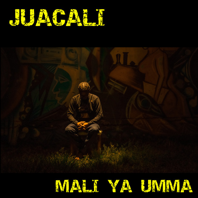 Mali Ya Umma cover art