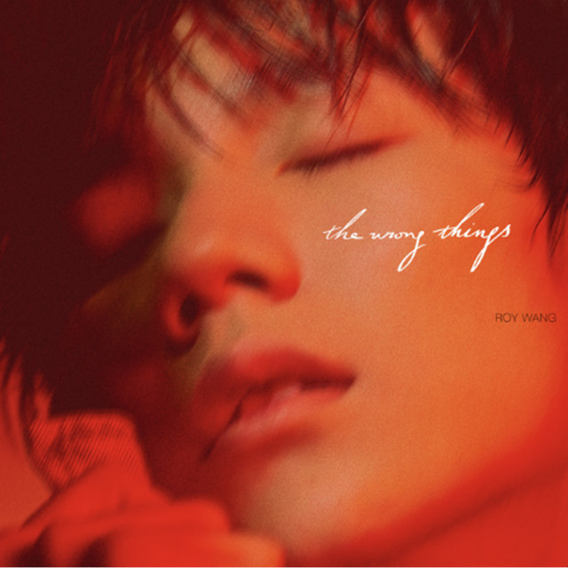 Capa de The Wrong Things - 王源