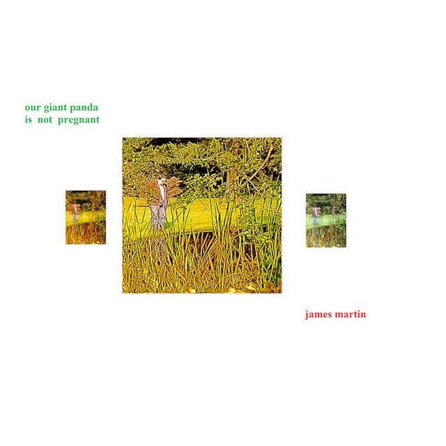 Our Giant Panda Is Not Pregnant cover art