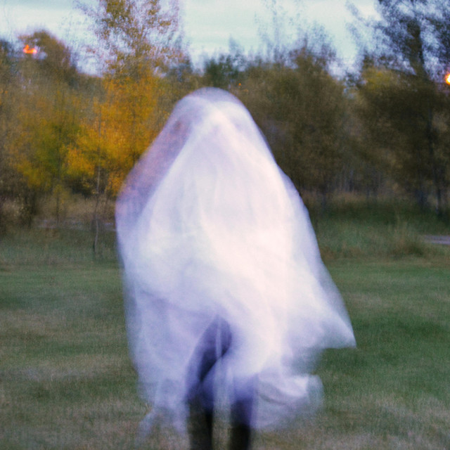 i think i saw a ghost