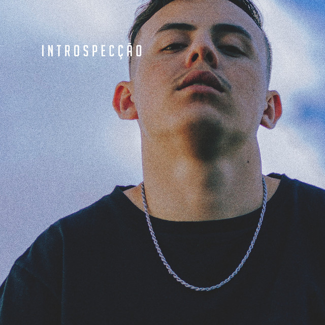 Introspecção cover art