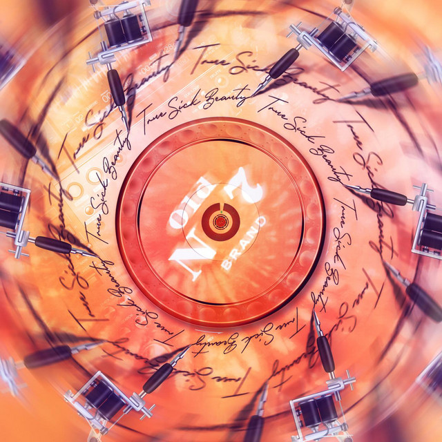 True Sick Beauty album art