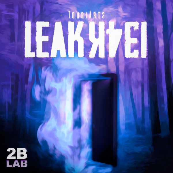 LEAK cover art