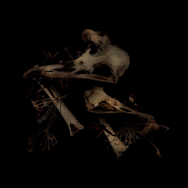 Años de Rechazo cover art