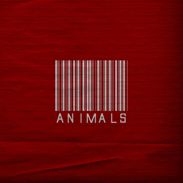 Animals cover art