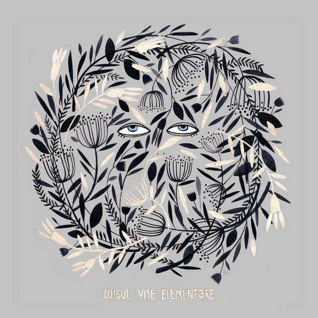 Vise elementare cover art