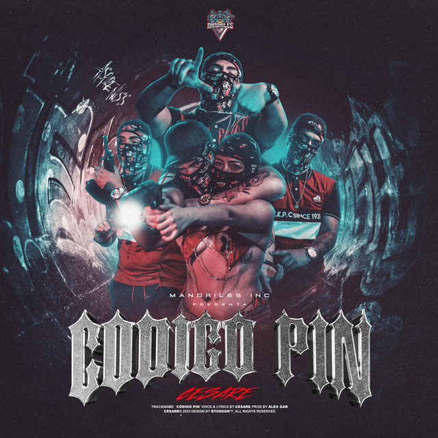 Codigo Pin cover art