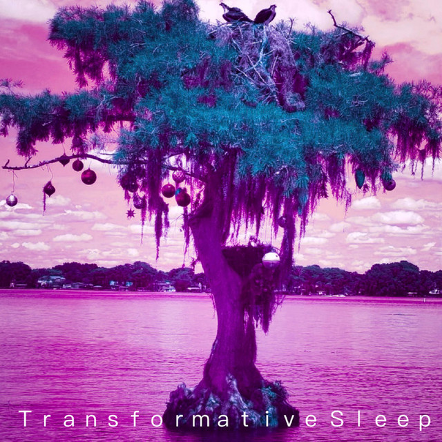 we exist as vibrations cover art