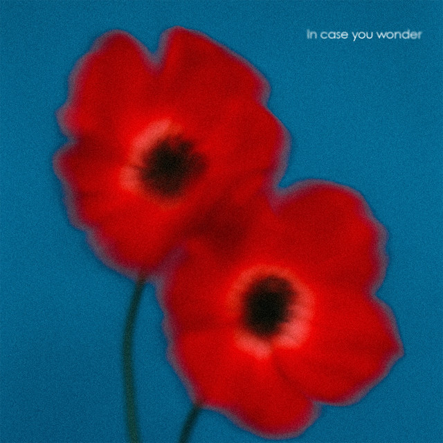 In Case You Wonder cover art