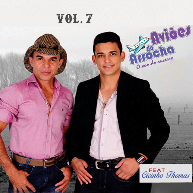 O Voo Do Sucesso, Vol. 7 cover art