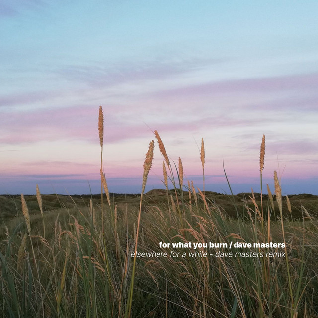 Elsewhere for a While (Dave Masters Remix) (single)