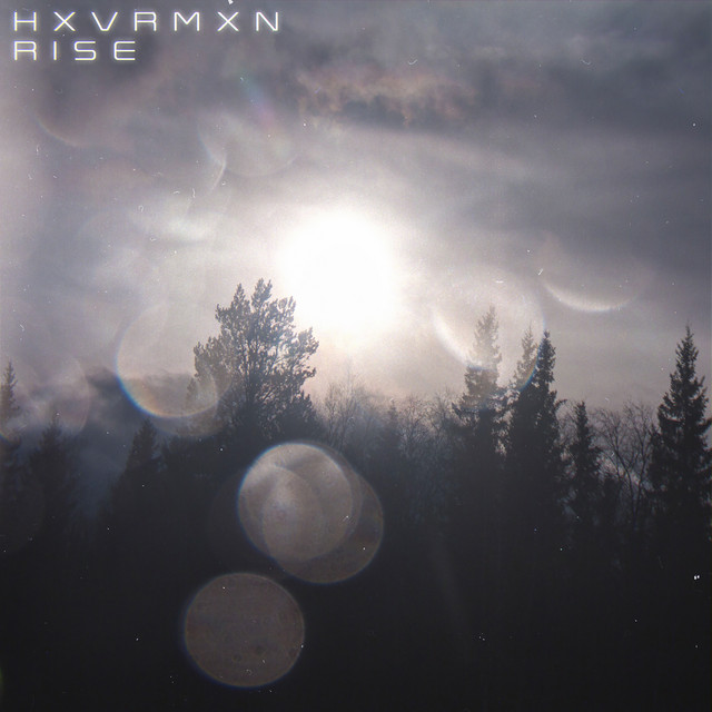 Rise cover art